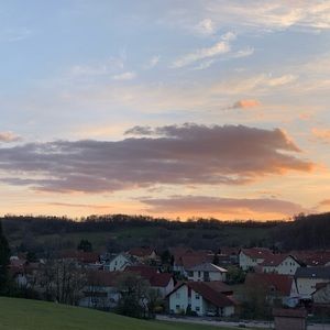 Meet your Posher, Rowan